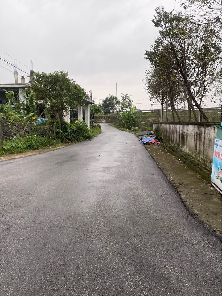 Đất Thạch Linh, Hà Tĩnh 98m² giá chỉ 1xxx - Vị trí đẹp, dân cư đông đúc!