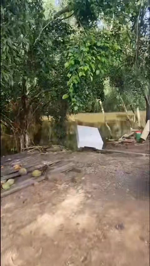 Đất nền 5 mẫu xã Thuận Bình, Thạnh Hóa, Long An - Giá 1.2 tỷ, thương lượng!