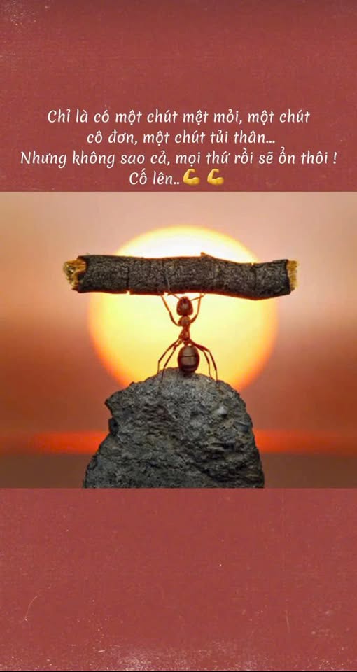 Đất nền Hẻm Nguyễn Thị Thập, Buôn Hồ 200m² giá chỉ 580 triệu - Cơ hội đầu tư hiếm có!