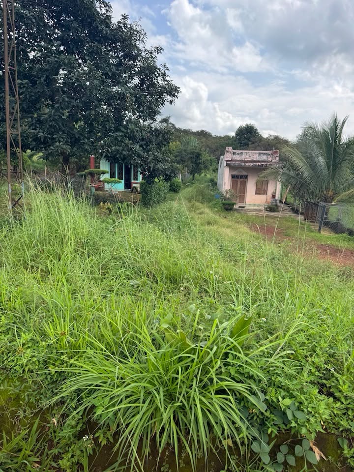 Lô đất mặt tiền Quốc Lộ 14, Thôn 1 Quảng Tín, 400m² giá chỉ 1 tỷ - Cơ hội đầu tư tuyệt vời!