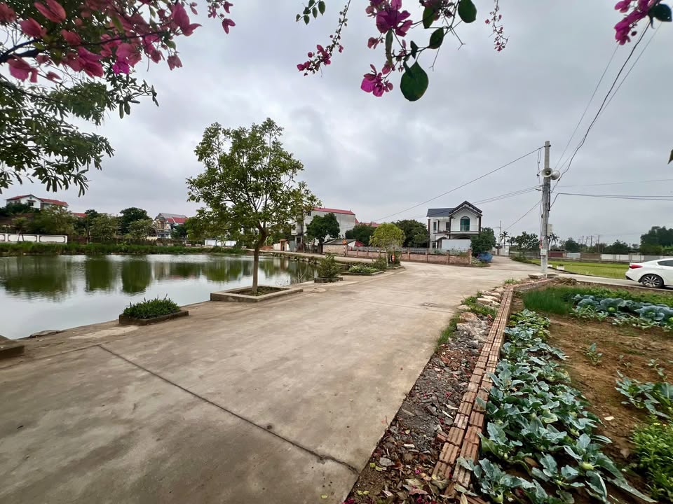 Đất thổ cư Tân Dân, Sóc Sơn 92m² chỉ 2.944 tỷ - Vị trí vàng đầu tư sinh lời!