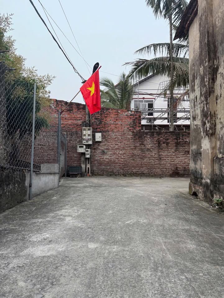 Đất nền Tráng Việt, Mê Linh 78m² giá thỏa thuận - Sổ đỏ chính chủ!