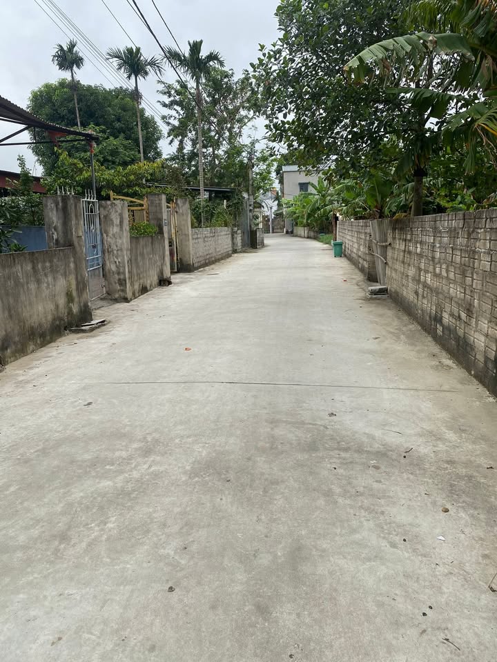 Bán đất Quảng Phú 115m² giá chỉ 1 tỷ - Vị trí đẹp, đường ô tô tránh nhau!