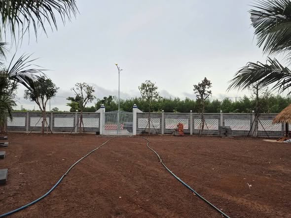 Đất nền mặt tiền đường Tránh Quốc Lộ 55, Đất Đỏ 536m² giá 3.5 tỷ - Đầu tư lý tưởng!