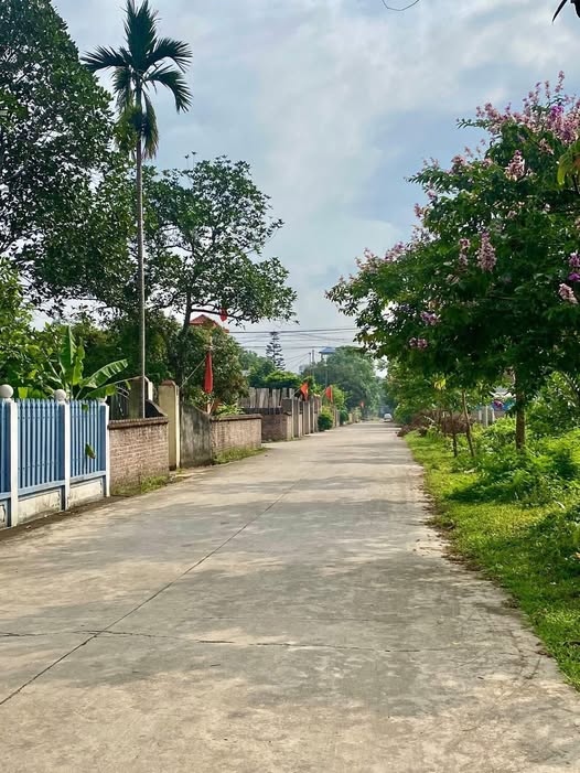 Đất nền Phúc Thuận, Phổ Yên 150m² giá 1 tỷ - Đầu tư sinh lời ngay!