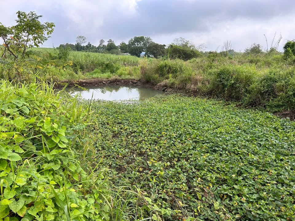 Đất nền Xuân Thọ, Đồng Nai 33.600m² giá chỉ 2.2 tỷ - Cơ hội đầu tư hiếm có!