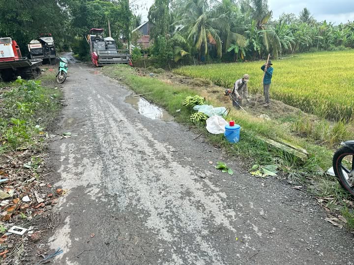 Đất nông nghiệp Mỹ Phú Đông 4100m² giá thỏa thuận - Mặt tiền đường nhựa 30m