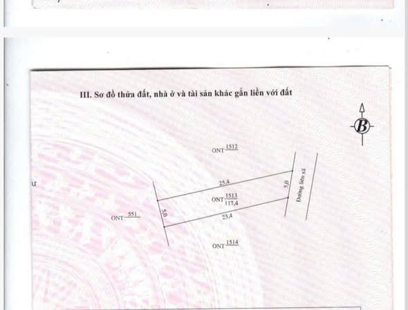 Đất nền Yên Lạc, Yên Định 117m² giá chỉ 1 tỷ - Kinh doanh thuận lợi!