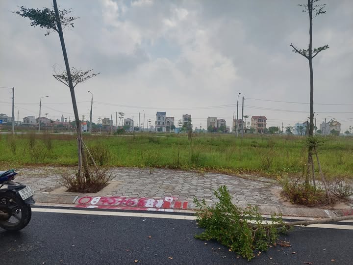 Đất nền khu đô thị mới Trực Hùng 90m² giá chỉ dưới 1 tỷ - Cơ hội đầu tư hấp dẫn!