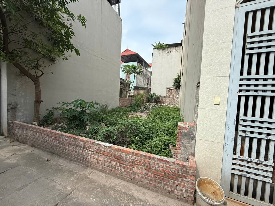 Đất thổ cư Thái Bình, Mai Lâm, 84m² giá 6 tỷ - Ô tô đỗ cửa, hướng tây nam!