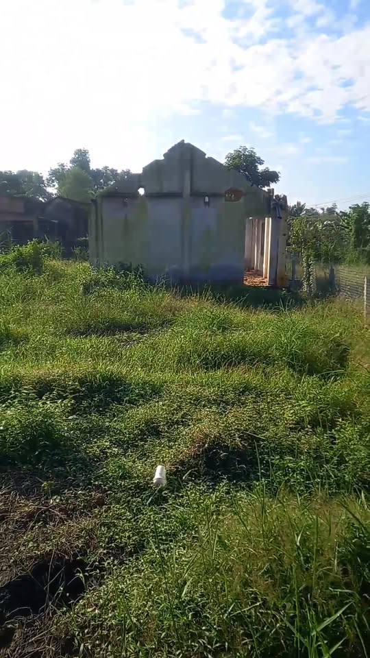 Đất nền Gia Lộc Trảng Bàng 282.1m² giá 1.4 tỷ - Đầu tư sinh lời ngay!