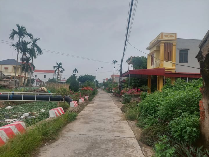 Đất thổ cư Ninh Cường 640m² giá thỏa thuận - Cơ hội vàng cho đầu tư