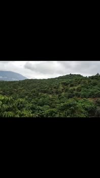 Đất nông nghiệp 10.000m² tại Đạ Rsal, Đam Rông giá 1.55 tỷ - Thế đất triền dễ làm!