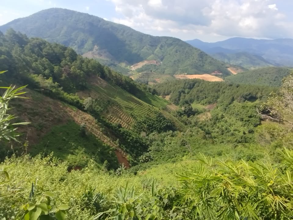 Đất nền 8 sào tại Đam Rông - Mặt tiền đường 722 - Giá 1 tỷ hấp dẫn!