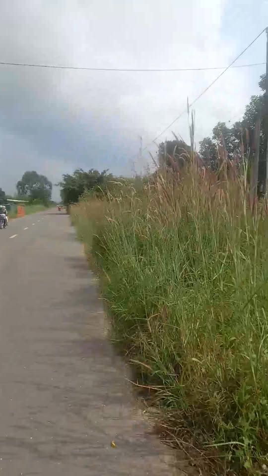 Đất thổ cư đẹp tại Nhựa Cầu Ô, Phước Thạnh, Gò Dầu - Giá chỉ 2 tỷ!