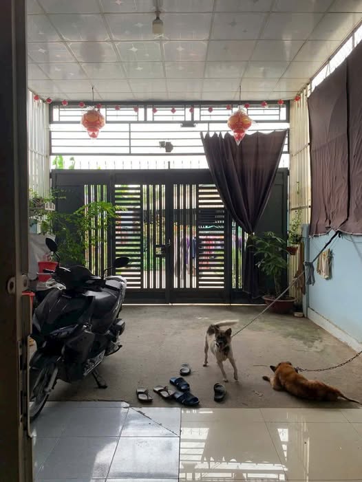 Nhà cấp 4 mặt tiền đường Dal, Tri Tôn 100m² giá 870 triệu - Sẵn sàng vào ở!