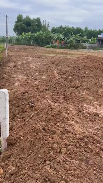 Đất nền Tân Kim - Phú Bình 1400m² giá cực ưu đãi - Tiềm năng tăng giá cao!