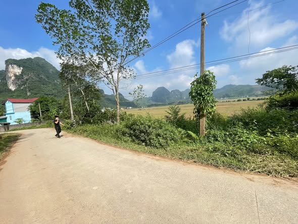 Đất nền Đú Sáng Kim Bôi 265m² - Tiềm năng đầu tư sinh lời ngay trung tâm!