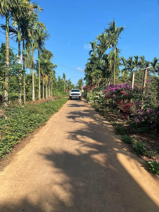 Đất nền Phú Xuân, Krông Năng 300m² - Giá chỉ 6xx triệu, sổ đỏ chính chủ!