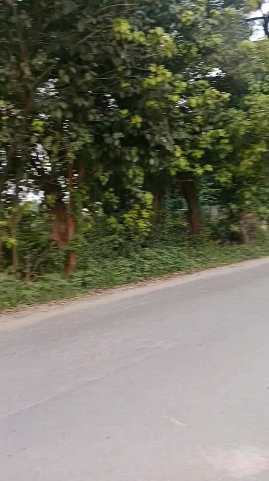 Đất nền mặt tiền liên tỉnh 943, xã Núi Tô, Tri Tôn, An Giang - Diện tích 644m², giá chỉ 2.53 tỷ!