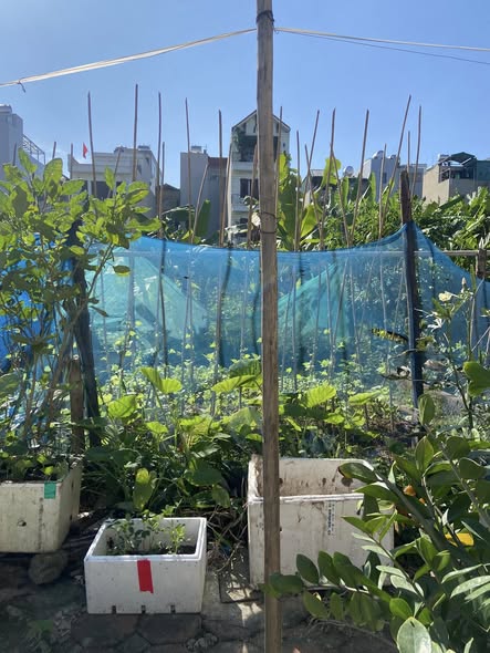 Đất nền Việt Hưng Long Biên 30m² giá 9.1 tỷ - Vị trí đắc địa trung tâm!