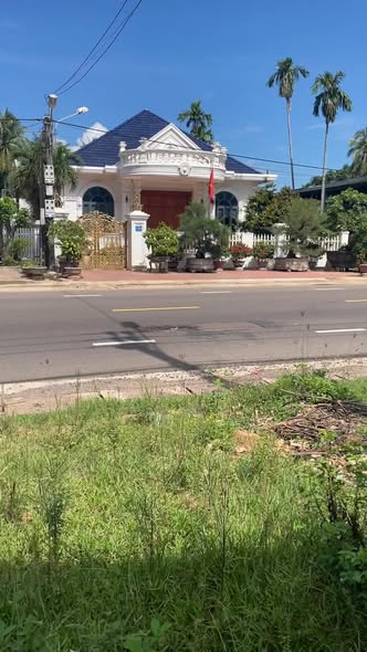 Bán gấp mặt tiền QL1A Phù Mỹ 115m² - Vị trí kinh doanh đắc địa!