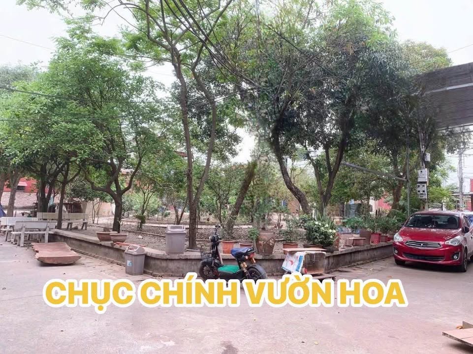 Đất Từ Sơn Bắc Ninh 180m² giá thỏa thuận - Vị trí đẹp view vườn hoa