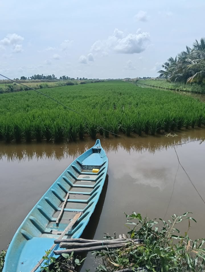 Đất nuôi tôm 18.000m² tại Đông Hưng, An Minh - Giá chỉ 2.16 tỷ VND!