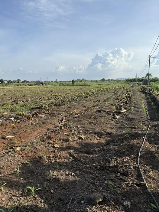 Đất nền nghỉ dưỡng 2000m² xã Gia Tân 3 - View suối tuyệt đẹp chỉ 650 triệu!