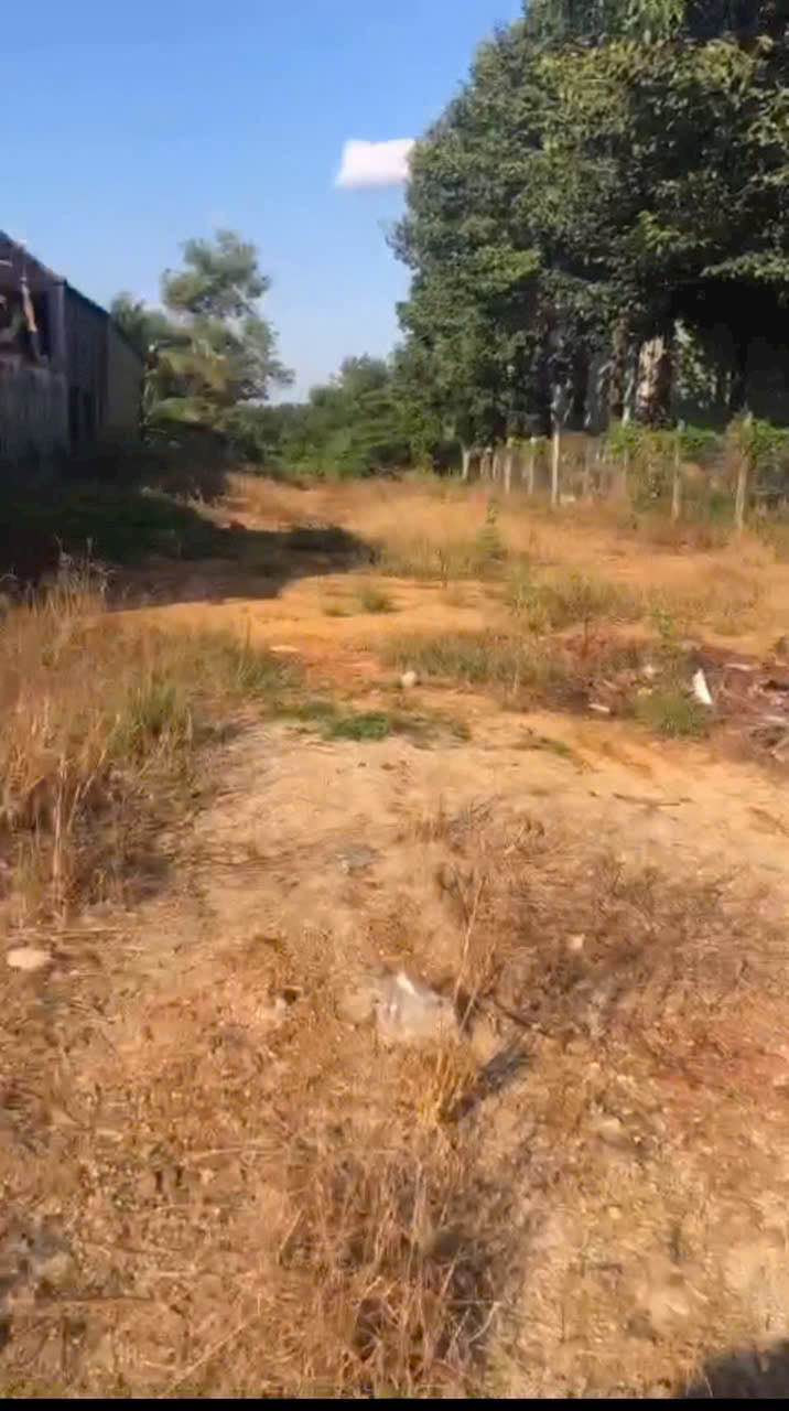 Bán đất mặt tiền DT 784 xã Chà Là 1392m² giá 350 triệu - Vị trí đẹp thuận lợi kinh doanh!