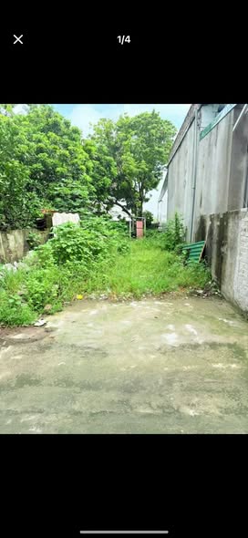 Đất nền Việt Hoà 76,6m² giá 1 tỷ - Đầu tư sinh lời lý tưởng!