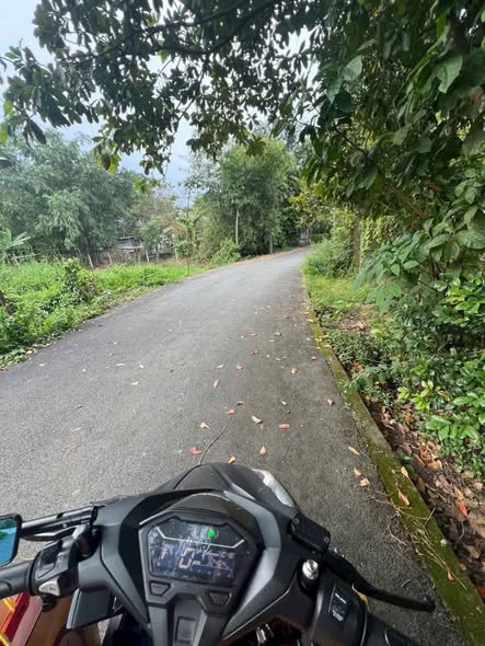 Đất nền Phú An Bến Cát 147m² giá chỉ 1.25 tỷ - Sổ hồng chính chủ!