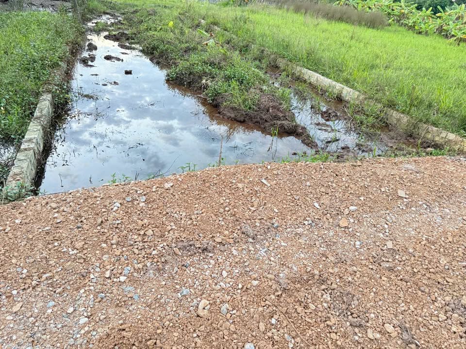 Đất nền thổ cư 148,2m² tại Trần Phú - Giá chỉ 2 tỷ, sổ đỏ chính chủ!