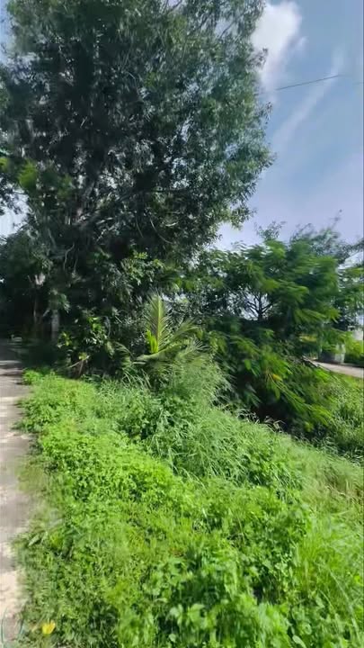 Đất mặt tiền kênh thoát lũ 1 Phong Nẫm 120m² giá 950 triệu - Cơ hội đầu tư hấp dẫn!