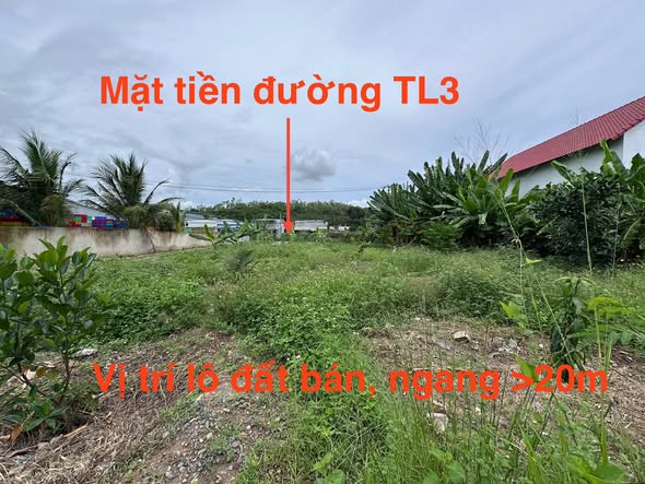 Đất liền kề Phước Bình, Nha Trang 2200m² giá 11.79 tỷ - Tiềm năng đầu tư vượt trội!