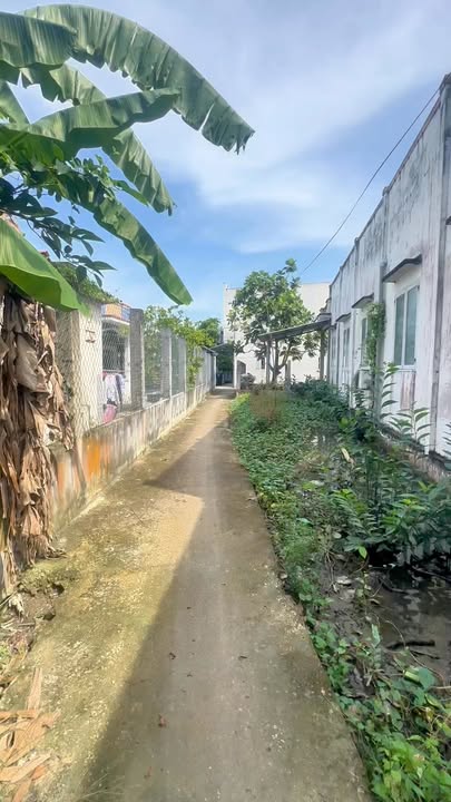 Đất lúa 1700m² tại Mỹ Lộc, Cần Giuộc - Giá chỉ 1.5 tỷ VND!