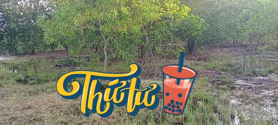 Đất nông nghiệp 5000m² xã Thăng An, giá chỉ 800 triệu - Cơ hội đầu tư tuyệt vời!