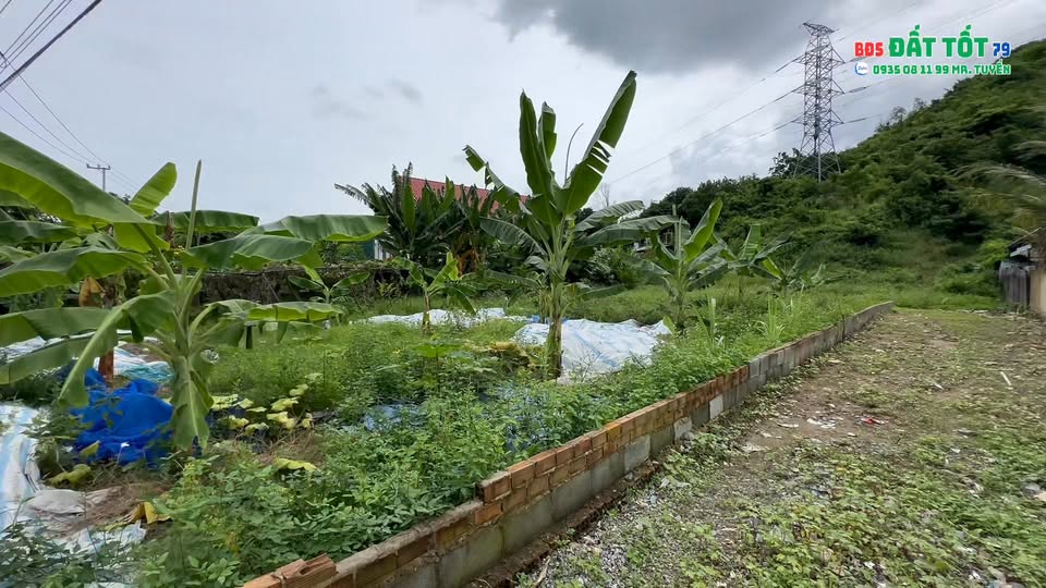 Đất liền kề mặt tiền Tỉnh lộ 3, Phước Đồng, Nha Trang 2200m² - Đầu tư sinh lời ngay!