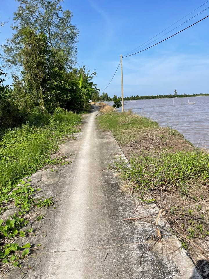 Đất ruộng 12.000m² xã Trường Xuân, Thới Lai - 2.28 tỷ, cách lộ 2km!