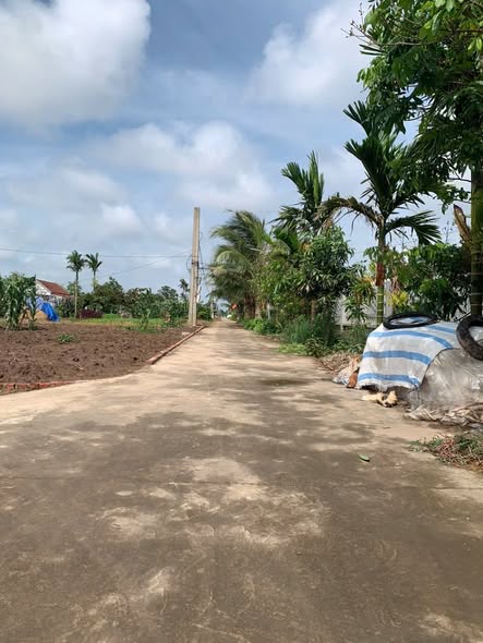 Lô đất đẹp xóm 6, Nam Điền 173m² giá 800 triệu - Tiềm năng sinh lời cao!