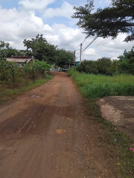 Đất thổ cư thôn 20 Hòa Khánh 209m² giá 2.64 tỷ - Gần Quốc lộ 14!