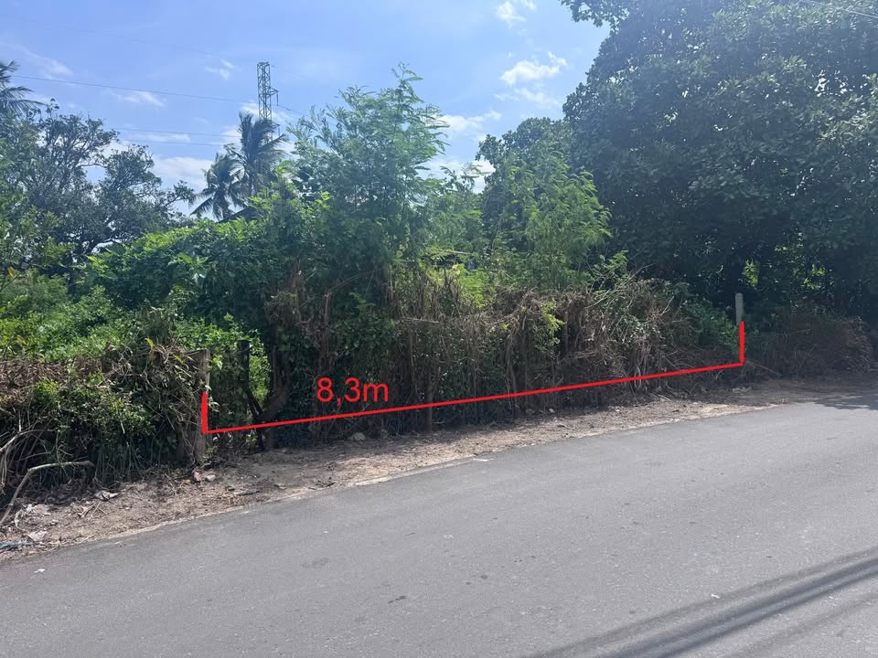 Đất nền Cam Phúc Bắc Cam Ranh 459.3m² giá 3 tỷ - Phong thuỷ tuyệt vời!