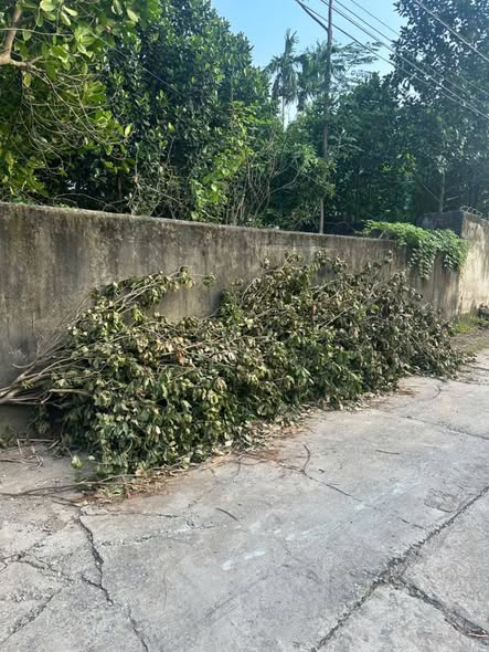 Đất chính chủ bán tại Chính Lý, Lý Nhân 180m² giá 1 tỷ - Đầu tư sinh lời ngay!