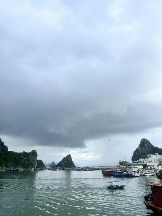 Đất nền trung tâm Vân Đồn 100m² giá chỉ 1 tỷ - Cơ hội đầu tư hấp dẫn!