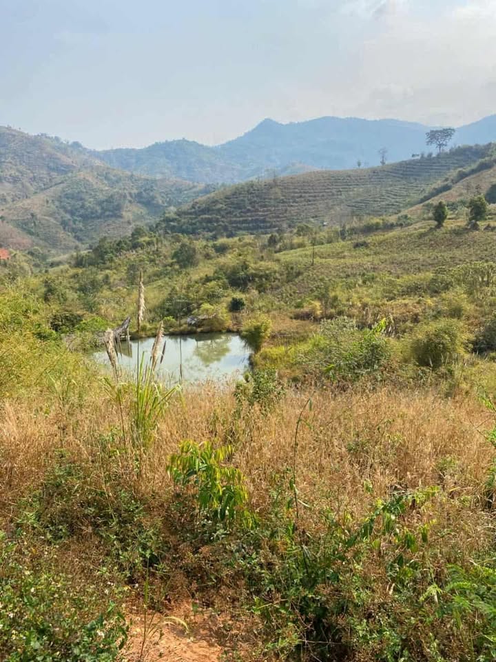 Cần bán 35ha đất trắng tại Đăk Ruồng, Kon Rẫy - Giá chỉ 3 tỷ