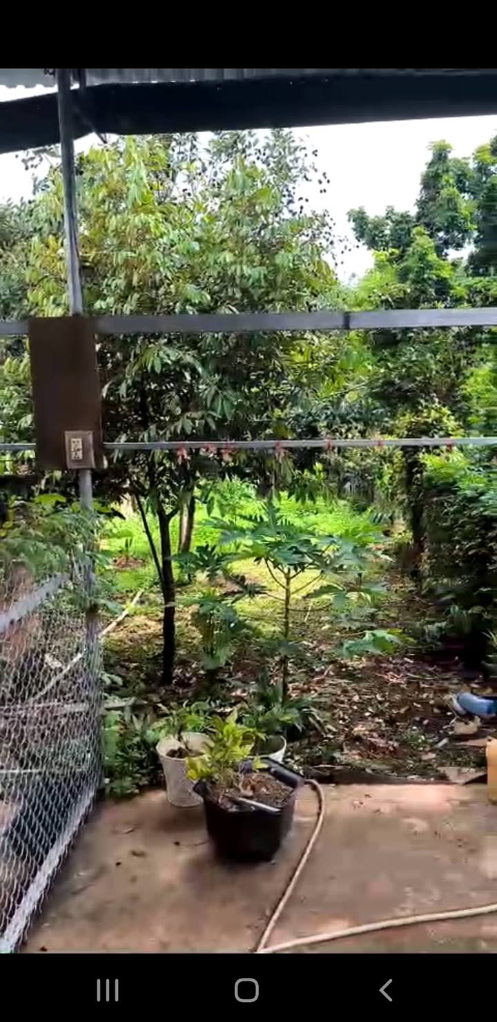 Nhà riêng tại Khánh Xuân, Buôn Ma Thuột 310m² giá 1.95 tỷ - Vị trí đẹp, vào ở ngay!