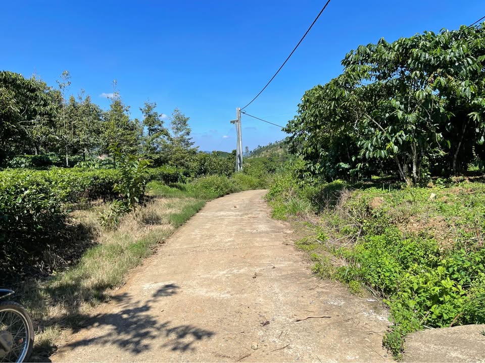 Đất nền Lộc Thành Bảo Lâm 15.000m² giá 1.6 tỷ - Đường ô tô vào tận nơi!