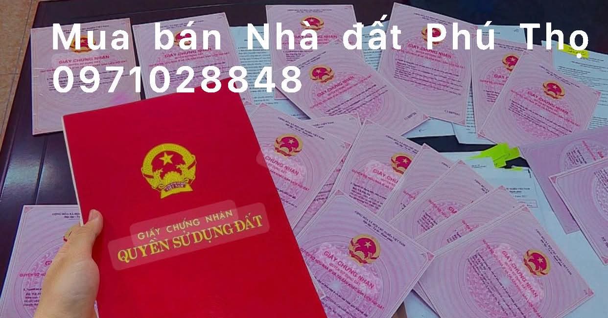 Đất nền Hưng Hoá, Tam Nông 163m² giá 1 tỷ - Kinh doanh thuận lợi!