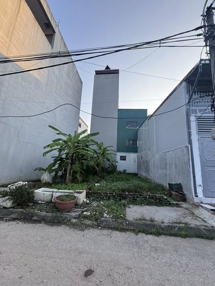 Bán gấp dịch vụ Tân Tây Đô Đan Phượng 48m² giá 8 tỷ - Hướng Đông Bắc