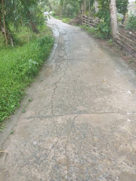 Đất nền mặt tiền lộ Danl tại Thông Hòa, Cầu Kè, Trà Vinh 343m² giá 350 triệu - Cơ hội đầu tư hấp dẫn!